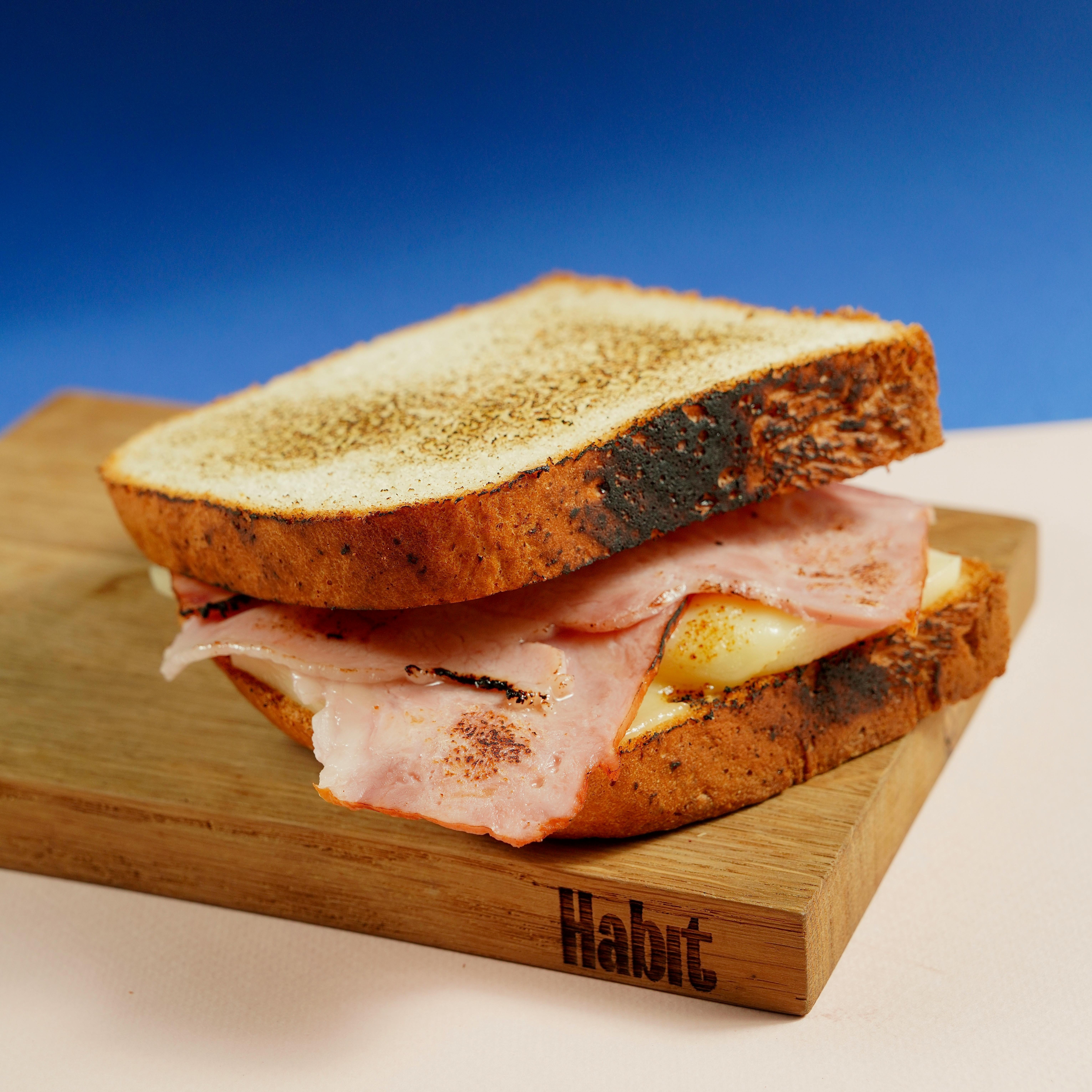 Turkey and Cheese Sandwich